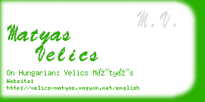 matyas velics business card